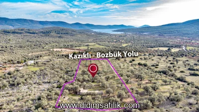 Kazıklıda Nest Yanı, Yola Sıfır Deniz Manzaralı 10 Dönüm Zeytinli Tarla