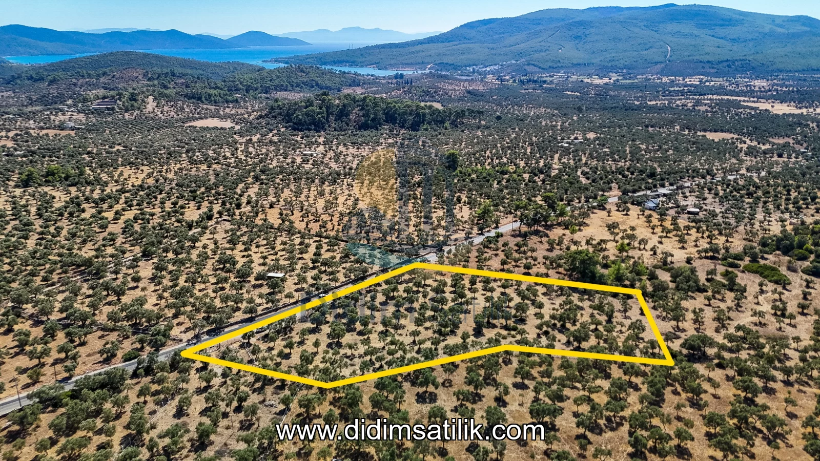 Kazıklı, Milas kiralık arsa