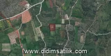 Kazıklı, Milas 7500 m2 arsa ilanı