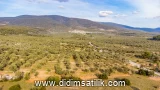 Kazıklı, Milas arsa ilan fotoğrafı