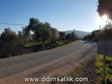 Kazıklı, Milas kiralık arsa