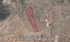 Kazıklı, Milas 10318 m2 arsa ilanı