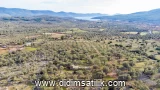 Kazıklı, Milas 10318 m2 arsa ilanı
