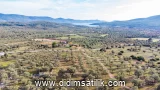 Kazıklı, Milas kiralık arsa