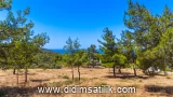 Akbük, Didim villa ilan fotoğrafı