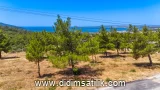 Akbük, Didim kiralık villa fotoğrafı