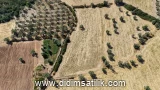 Bozbük, Milas arsa ilan fotoğrafı