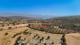 Bozbük, Milas 6080 m2 arsa ilanı