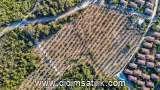 Bozbük, Milas 9800 m2 arsa ilanı