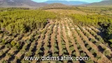 Bozbük, Milas arsa ilan fotoğrafı