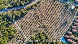 Bozbük, Milas 9800 m2 arsa ilanı