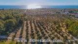 Bozbük, Milas arsa ilan fotoğrafı