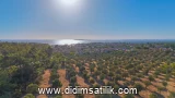 Bozbük, Milas kiralık arsa fotoğrafı