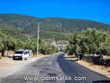 Kazıklı, Milas kiralık arsa fotoğrafı