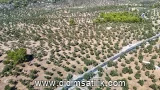 Kazıklı, Milas kiralık arsa fotoğrafı