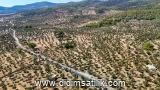 Kazıklı, Milas arsa ilan fotoğrafı