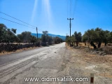 Kazıklı, Milas arsa ilan fotoğrafı