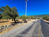 Kazıklı, Milas 8841 m2 arsa ilanı