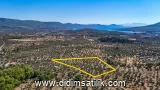 Kazıklı, Milas 8841 m2 arsa ilanı